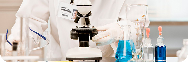 investigación y desarrollo
