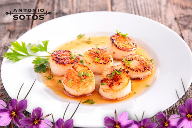 Scallops in saffron sauce