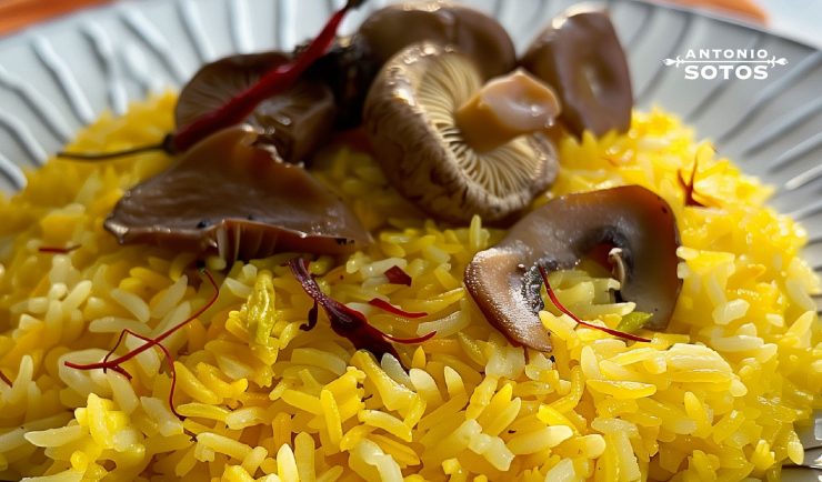 arroz-azafran-setas-cardo